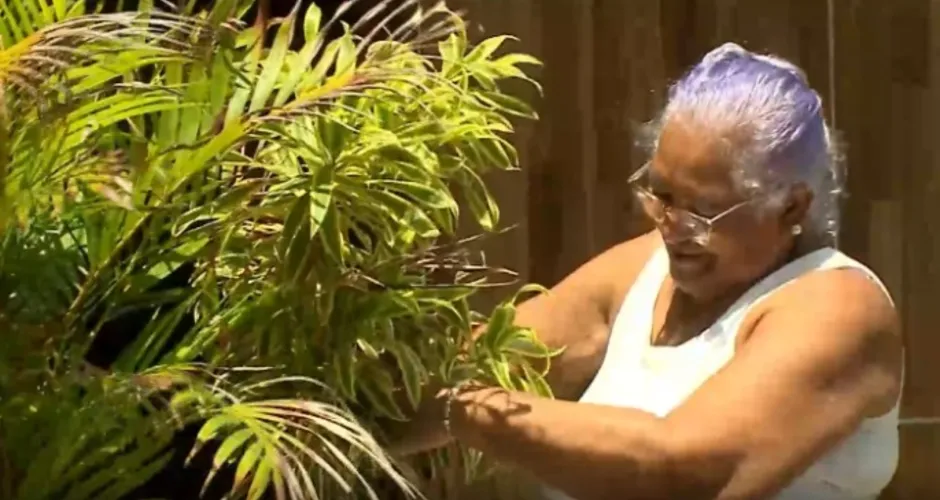 Vizinhança em Debate: Moradora de Maceió é notificada pela prefeitura por vasos em calçada