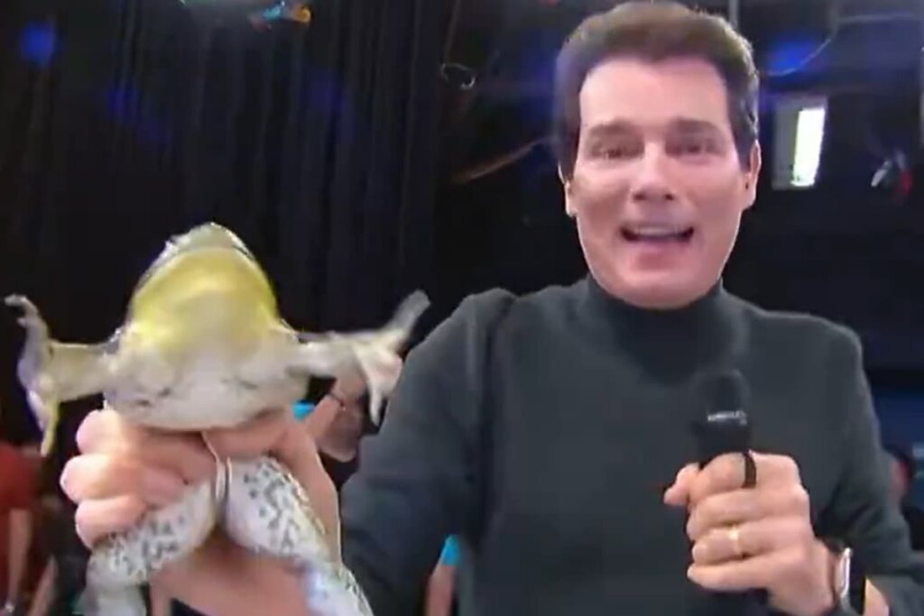 VÍDEO: Celso Portiolli se JOGA em perseguição de perereca ao vivo no SBT e DIVERTE a web!