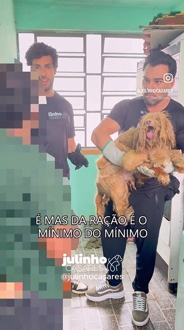 Coração Partido, Final Feliz: Cachorro Abandonado na ZL Tem Virada Incrível!