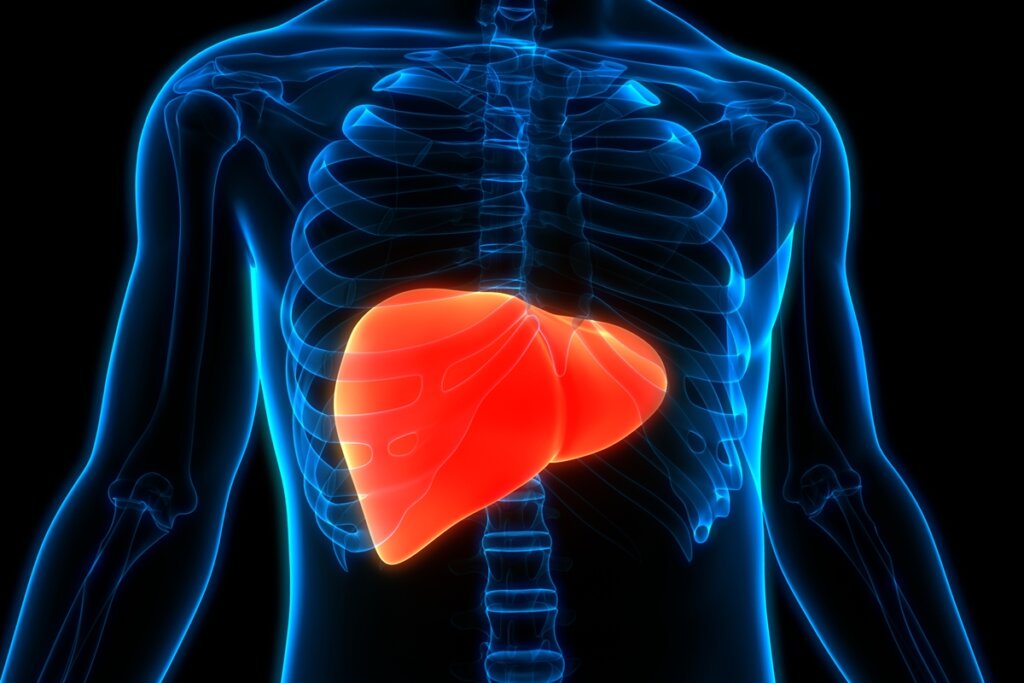 Perigo no Pote: Hepatologista Liz Marjorie Revela Riscos da Cúrcuma para o Fígado!