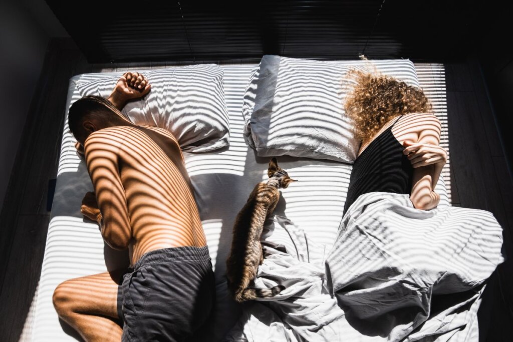O Papo Que Falta na Cama: Estudo Revela Que a Incompatibilidade Sexual Começa na Conversa!