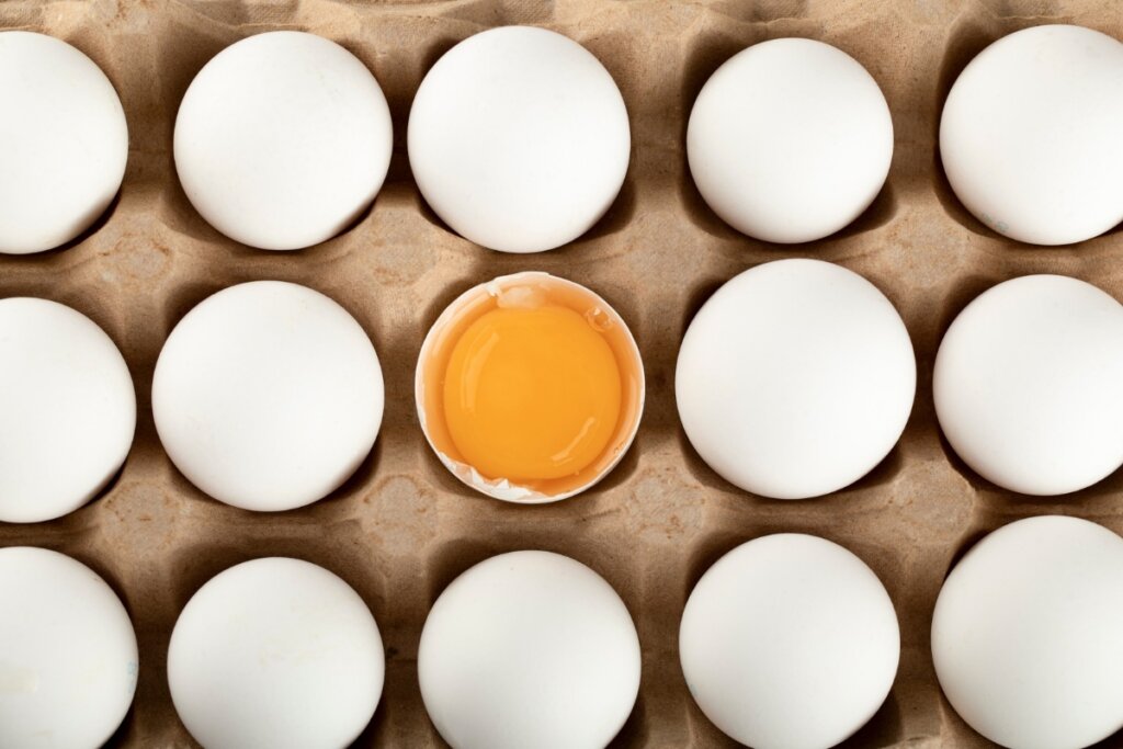 Além do Ovo: Como Diversificar a Proteína Sem Enjoar!