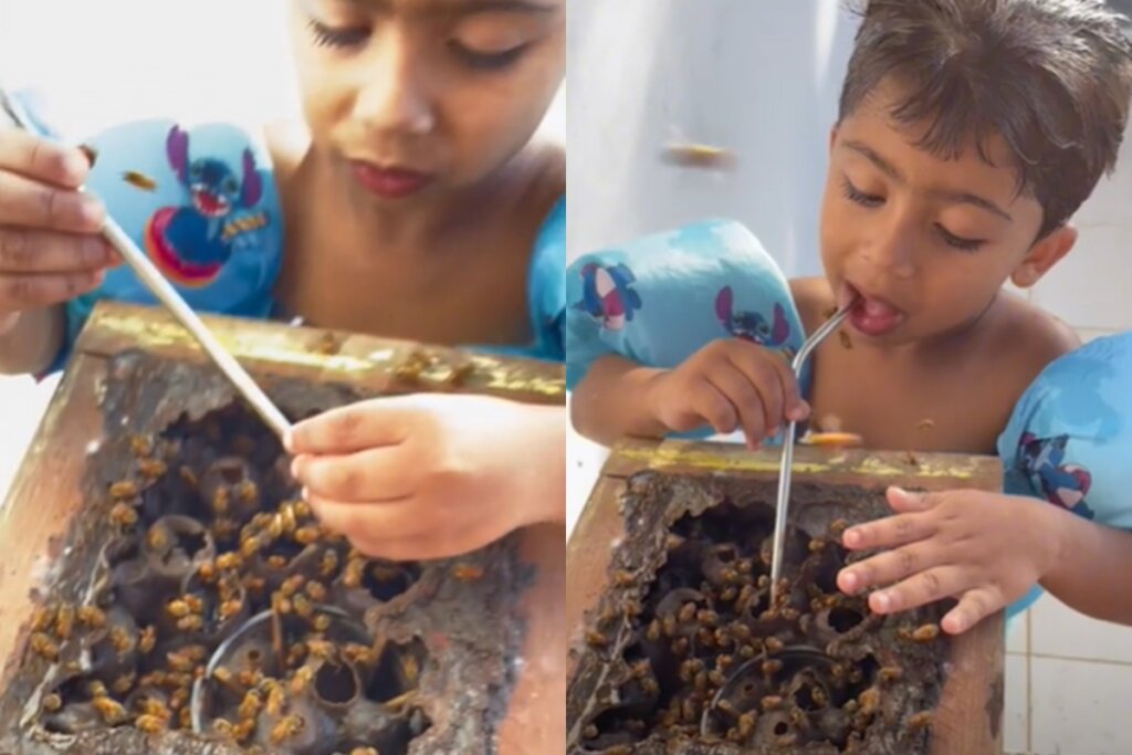 Fofura Viral: Menino de 4 Anos Ataca Colmeia com Canudinho e Conquista a Internet!