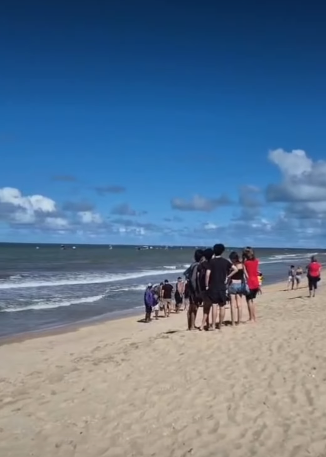 Tragédia Choca Piedade: Menino de 11 Anos Perde Perna em Ataque de Tubarão