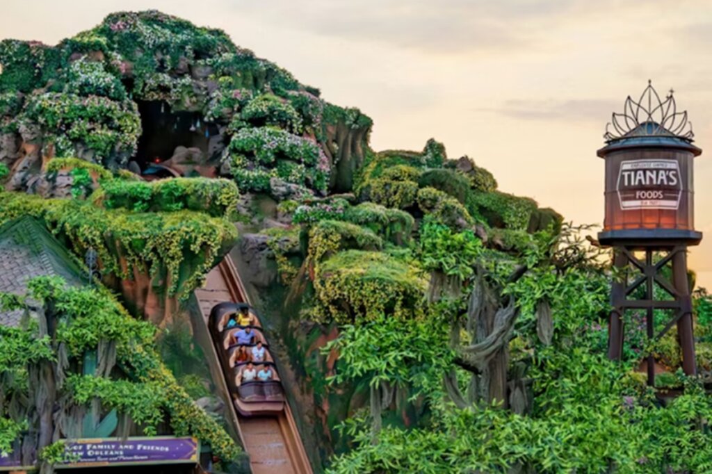 BRINQUEDO DA DISNEY DÁ RUIM! Criança despenca de 15 metros em cachoeira!