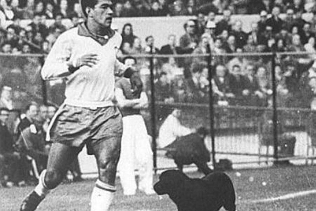 Lembra do Cachorro Que ‘Driblou’ a Seleção Brasileira na Copa de 62?