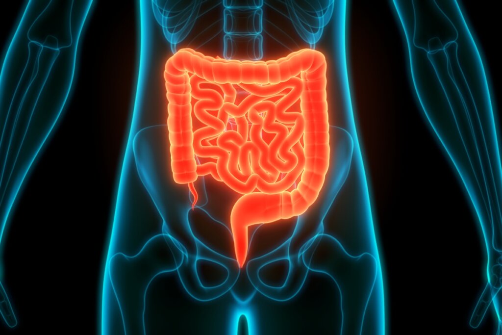 Intestino abalado pós-rolê? Coloproctologista Aline Amaro revela o babado!