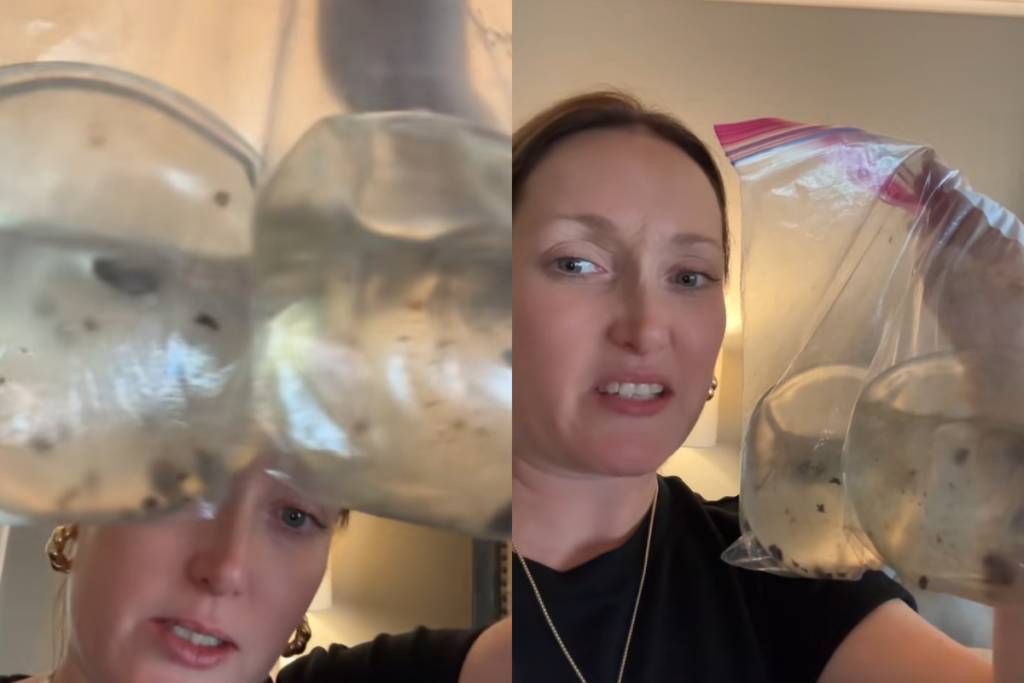 Meu Deus! Mulher Encontra Mofo Bizarro Dentro de Seus Implantes Mamários!