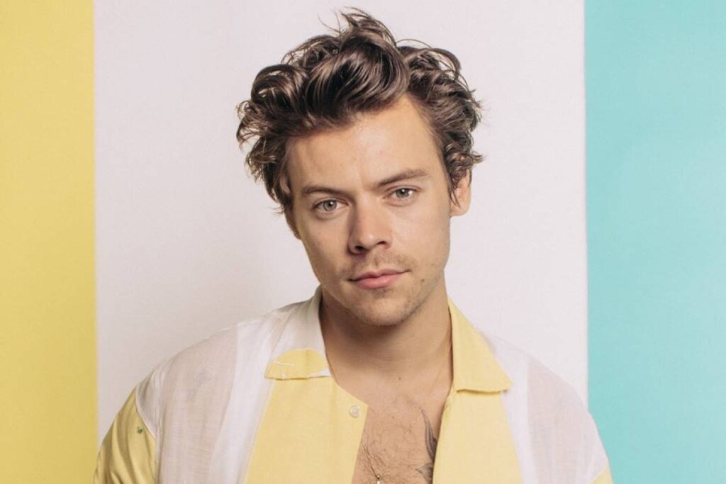 OMG! Show de Harry Styles em São Paulo é Cancelado Por ‘Problema de Saúde’ na Turnê!