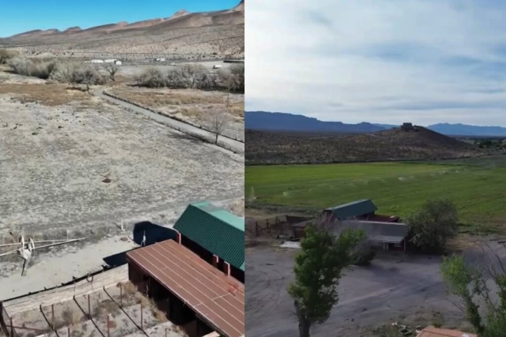De Rancho Abandonado a Sucesso Viral: Família Transforma Propriedade e Conquista a Internet!