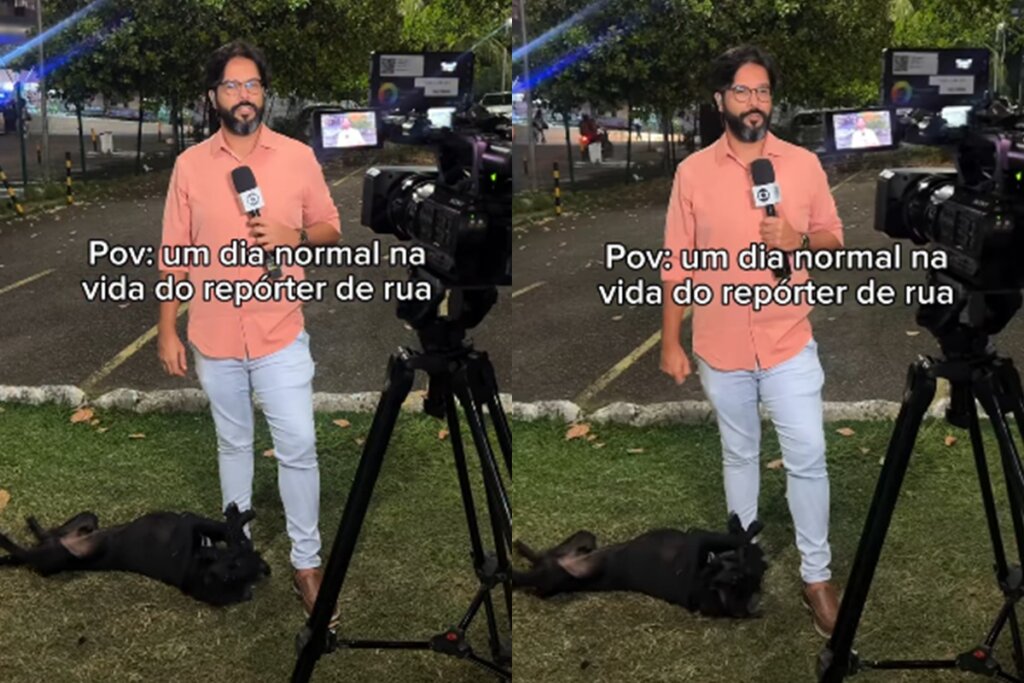 Viral do Bem: Cãozinho Surpreende Repórter e Conquista Coração (e um Lar)!