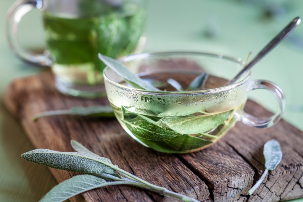 Descubra o Chá de Sálvia: Antioxidante Poderoso e Adeus Aos Gases!