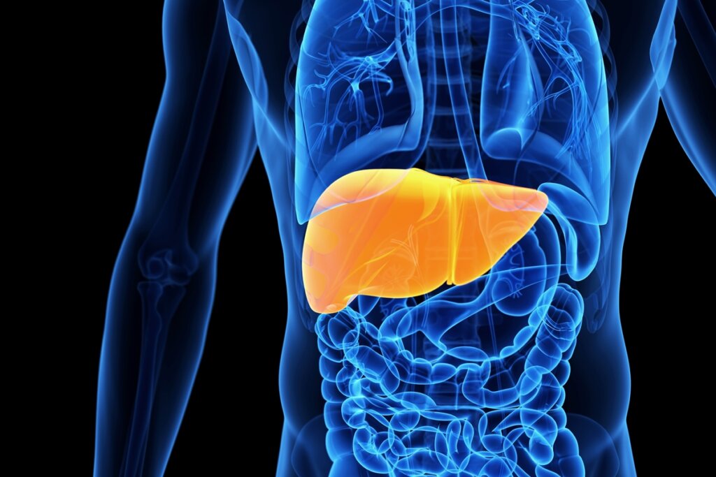 Fígado Feliz: Nutricionista Revela Alimentos para Manter Seu Órgão Essencial em Plena Forma!