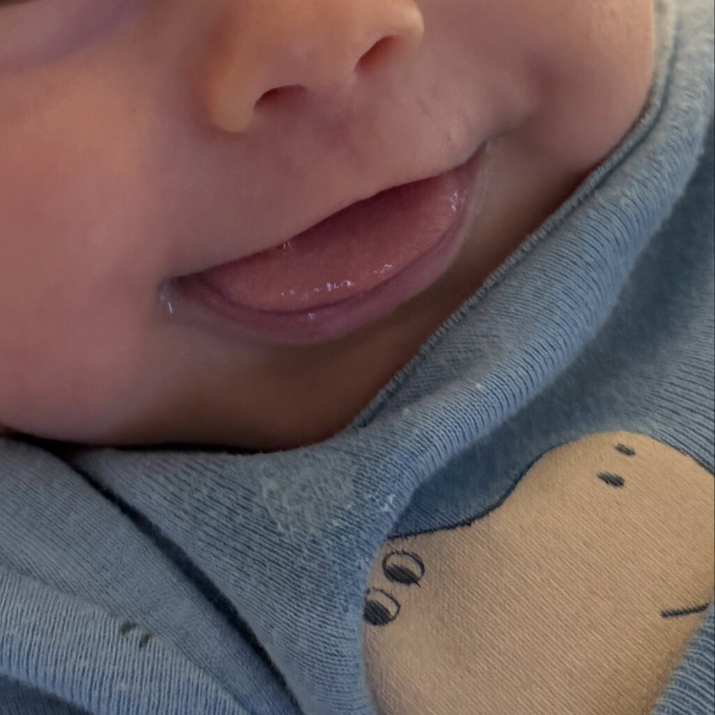 Lauana Prado se derrete ao celebrar dois meses do filho Dom!